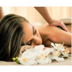 �y�e�o������30���O�܂Ŏ�t�z�X�p�E�p�b�P�[�W(�o���}�b�T�[�W 50 ��)