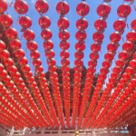 �ʂ�̓��p�����鍂�Y�E���̗� �`�F��Ɣ��H�ƌÓs��K�˂ā` �����x�������H�t����