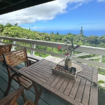 �y�ߌ㔭�z�n���C���R�i�n�� �����ό��c�A�[