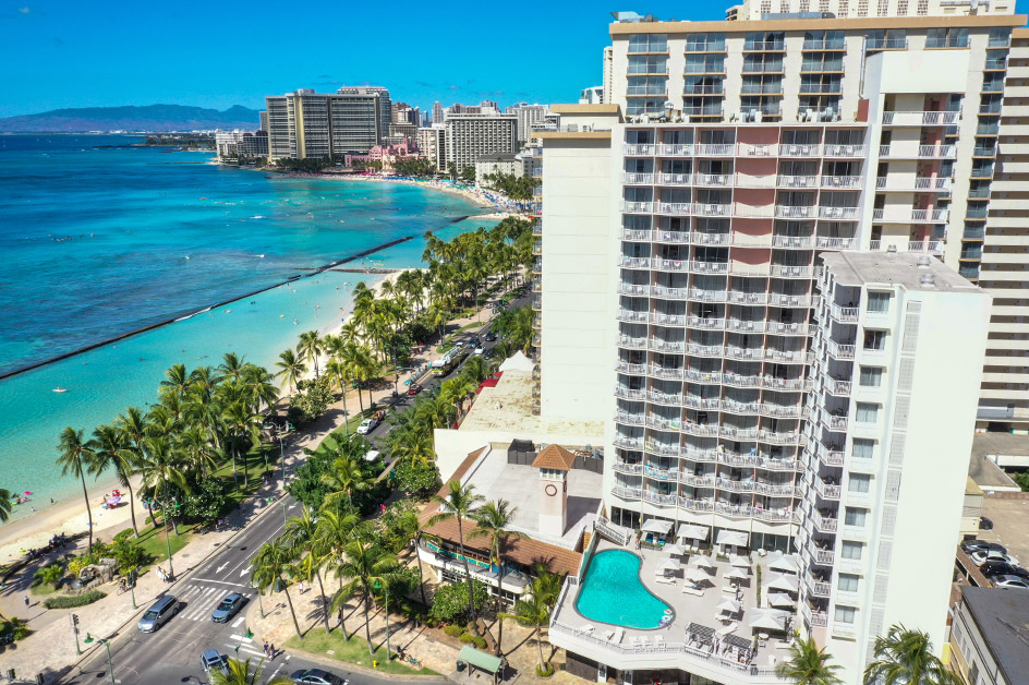 �p�[�N�V���A�E���C�L�L�i�����w��Ȃ�/�x�b�h1��̂������j �C���[�W