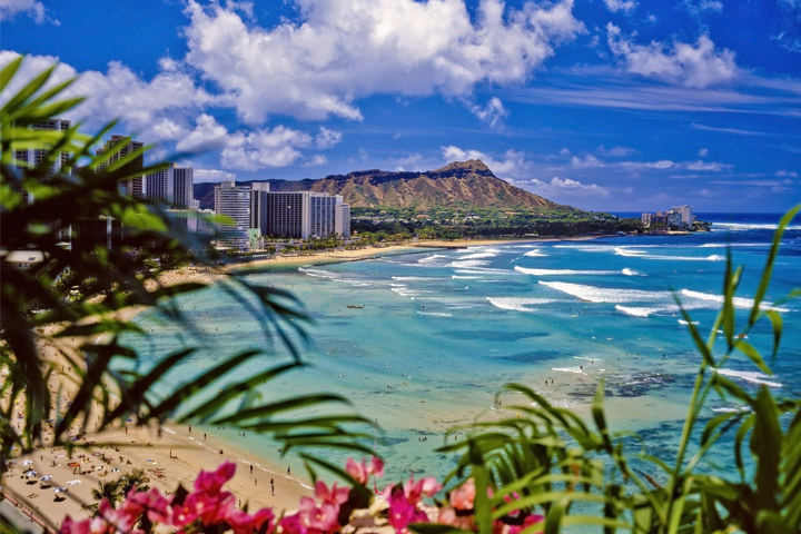 格安航空券で行くハワイ